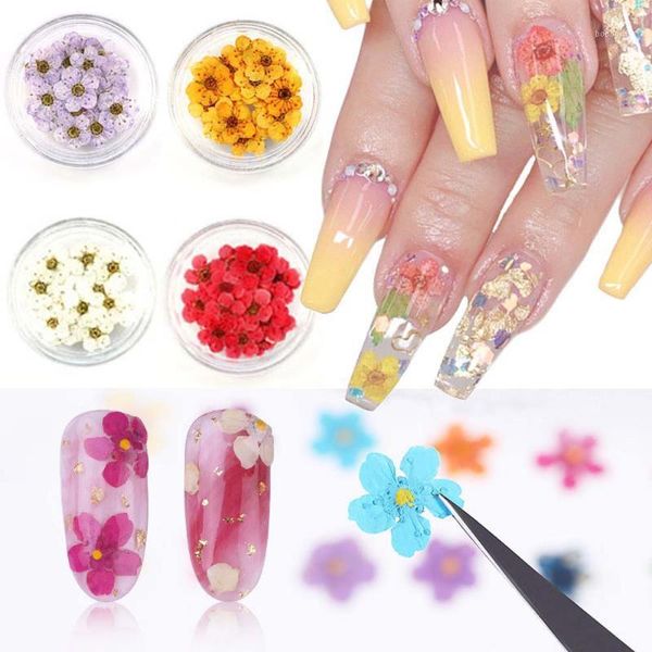 box 11 colors 3d natural dried flowers nail art decoration floral diy sticker beauty jewelry tips colorful ornaments1, Silver;gold
box 11 colors 3d natural dried flowers nail art decoration floral diy sticker beauty jewelry tips colorful ornaments1, Silver;gold