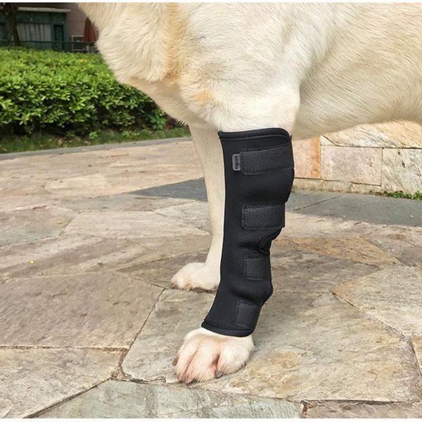 practical dog recovering leg auxiliary strap wraps bracket protctive sheath (black,) apparel
practical dog recovering leg auxiliary strap wraps bracket protctive sheath (black,) apparel