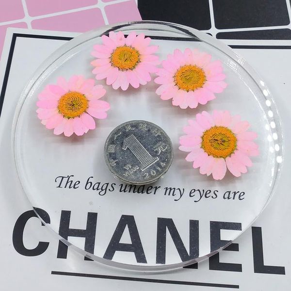 decorative flowers & wreaths chrysanthemum paludosum real dried flower dry plants for candle epoxy resin pendant necklace jewelry making cra
decorative flowers & wreaths chrysanthemum paludosum real dried flower dry plants for candle epoxy resin pendant necklace jewelry making cra