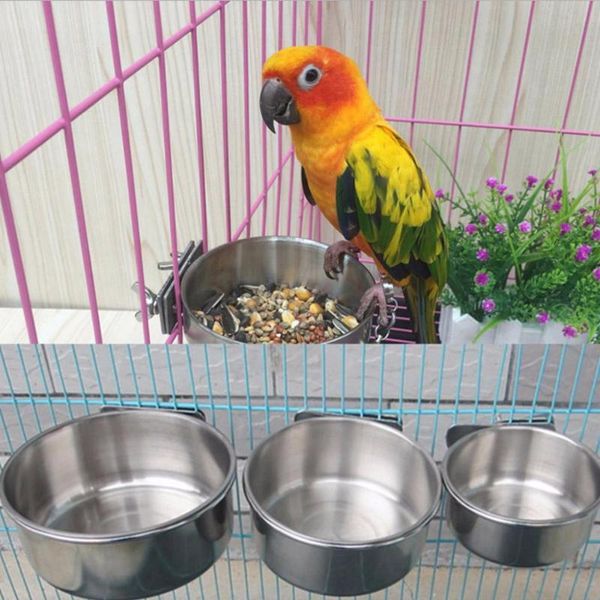 other bird supplies pet water feeder parrots birds drinker pigeon drinking bowl cage stationary hanging dish
other bird supplies pet water feeder parrots birds drinker pigeon drinking bowl cage stationary hanging dish