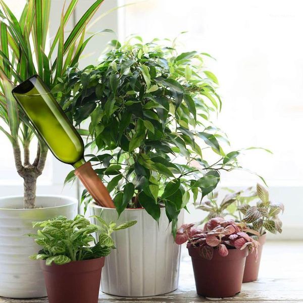 watering equipments 4 pcs terracotta spikes plant waterer self automatically efficient convenient system for indoor potted plants1
watering equipments 4 pcs terracotta spikes plant waterer self automatically efficient convenient system for indoor potted plants1
