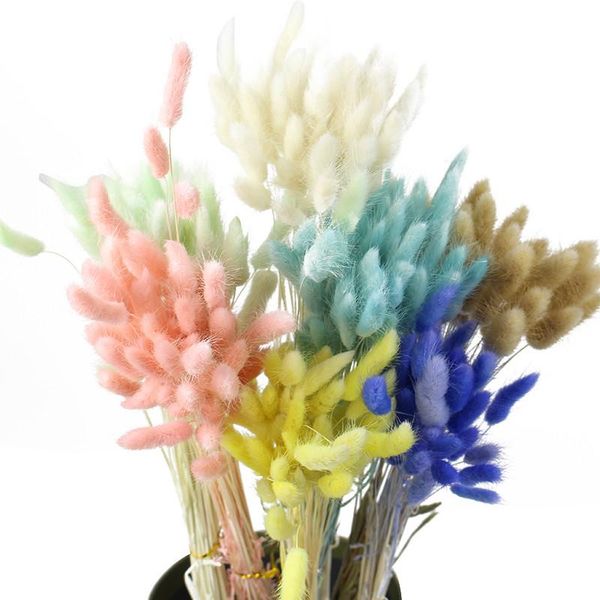 decorative flowers & wreaths 50 stems mixed color dried flower tail bunch natural plants floral grass bouquet for home wedding
decorative flowers & wreaths 50 stems mixed color dried flower tail bunch natural plants floral grass bouquet for home wedding
