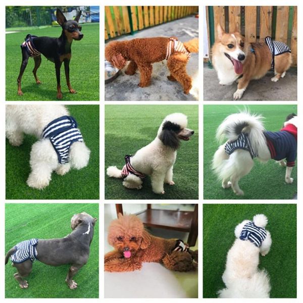 dog apparel pet striped pants physiological washable female shorts panties menstruation underwear briefs jumpsuit
dog apparel pet striped pants physiological washable female shorts panties menstruation underwear briefs jumpsuit