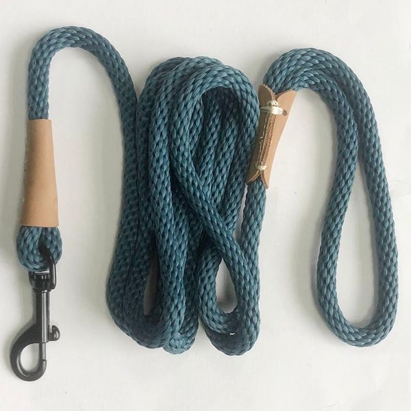 2m/3m/5m/10m long nylon dog leash dogs lead pet mountaineering rope outdoor walking training leashes for small medium collars &
2m/3m/5m/10m long nylon dog leash dogs lead pet mountaineering rope outdoor walking training leashes for small medium collars &