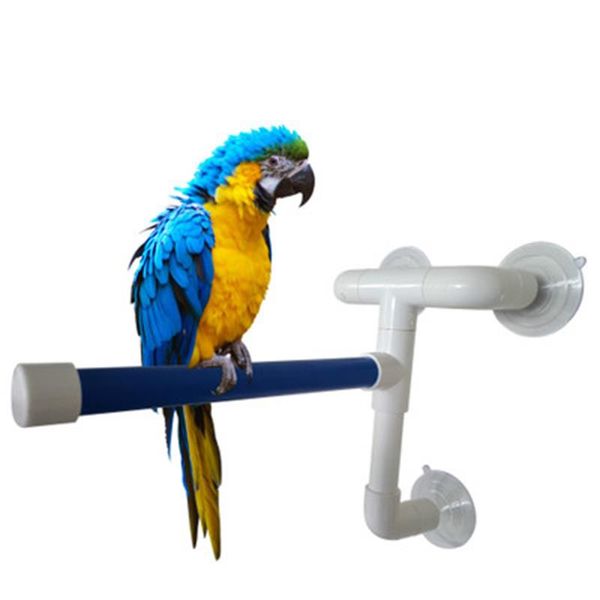 pet toy standing platform stand parrot standing bath shower bass parakeet bird toy parrot toy large bird cage parrot
pet toy standing platform stand parrot standing bath shower bass parakeet bird toy parrot toy large bird cage parrot