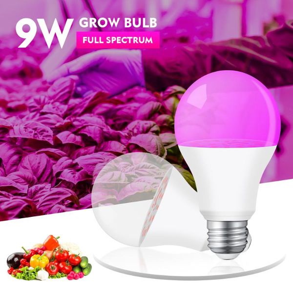 grow lights led plant growth bulb lamp tube 9w flower and vegetable succulent nursery replenish sunshine e27 clip usb fill light
grow lights led plant growth bulb lamp tube 9w flower and vegetable succulent nursery replenish sunshine e27 clip usb fill light