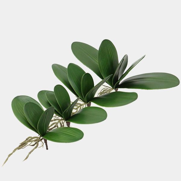 decorative flowers & wreaths artificial plants phalaenopsis leaf auxiliary material fake orchid leaves micro landscape flower decoration
decorative flowers & wreaths artificial plants phalaenopsis leaf auxiliary material fake orchid leaves micro landscape flower decoration