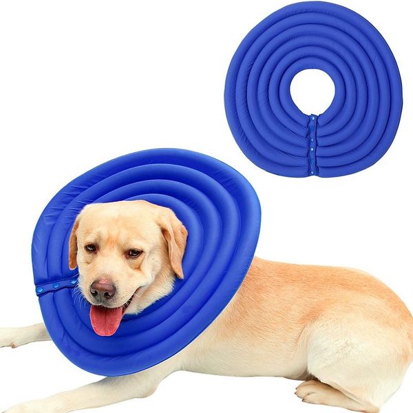 dog collars & leashes collar waterproof puppy cat accessory durable for small medium large dogs safe kitten cats neck strap
dog collars & leashes collar waterproof puppy cat accessory durable for small medium large dogs safe kitten cats neck strap