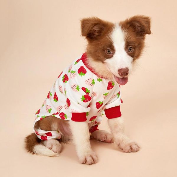 dog apparel 1pcs cotton pajamas pet clothes for small dogs cat pyjama puppy jumpsuit medium sleepingwear warm clothing coat
dog apparel 1pcs cotton pajamas pet clothes for small dogs cat pyjama puppy jumpsuit medium sleepingwear warm clothing coat