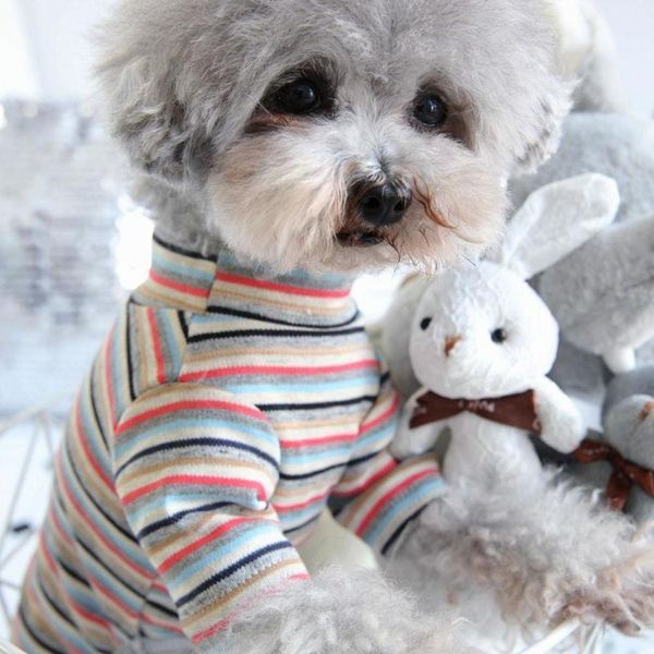 the dog clothes pet bear mini teddy dog four legged clothes and summer spring thin striped home wear pajamas
the dog clothes pet bear mini teddy dog four legged clothes and summer spring thin striped home wear pajamas