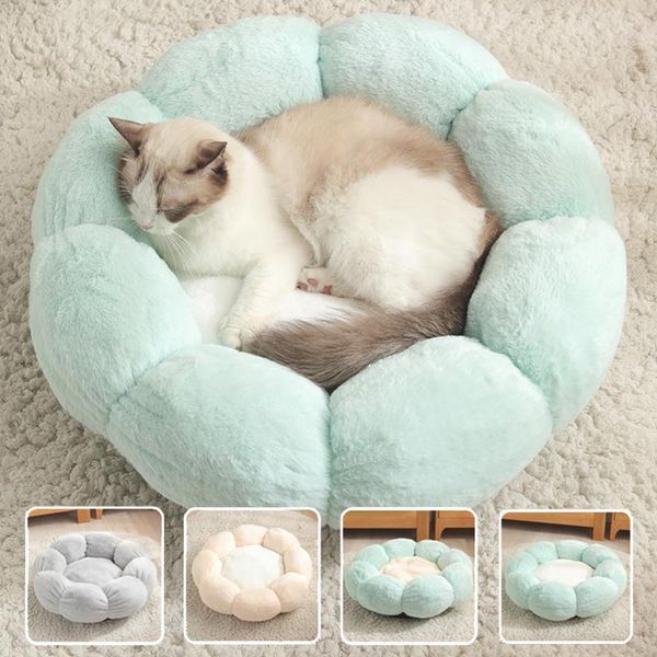 cat beds & furniture bed house for cats mat winter warm sleeping nest soft sofa travel portable flower pet cushion
cat beds & furniture bed house for cats mat winter warm sleeping nest soft sofa travel portable flower pet cushion