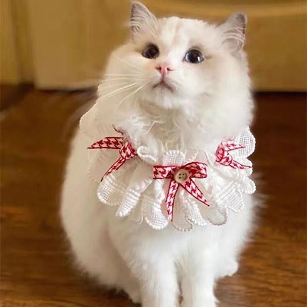 cat costumes 2021 handmade bow bib tie pet accessories wavy lace buttons dog necklace dogs festival
cat costumes 2021 handmade bow bib tie pet accessories wavy lace buttons dog necklace dogs festival
