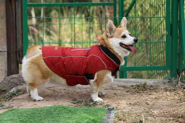 dog apparel 2021 winter reflective thick warm jacket coat pet clothes puppy jackets for small to medium dogs
dog apparel 2021 winter reflective thick warm jacket coat pet clothes puppy jackets for small to medium dogs