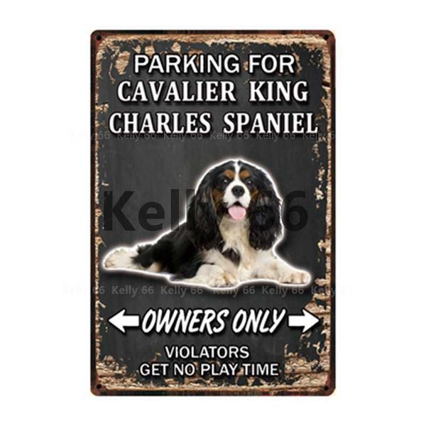 dogs parking for border collie chihuahua metal sign tin poster home decor bar wall art painting 20*30 cm size dy107
dogs parking for border collie chihuahua metal sign tin poster home decor bar wall art painting 20*30 cm size dy107