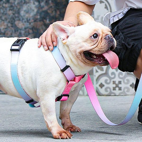 dog collars & leashes sale printed gradient vivid polyester traction rope vest type chest back leash pet products for dogs
dog collars & leashes sale printed gradient vivid polyester traction rope vest type chest back leash pet products for dogs