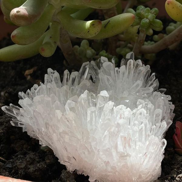 natural clear quartz crystal cluster minerals chakra reiki stone home furnishing decoration decorative objects & figurines
natural clear quartz crystal cluster minerals chakra reiki stone home furnishing decoration decorative objects & figurines