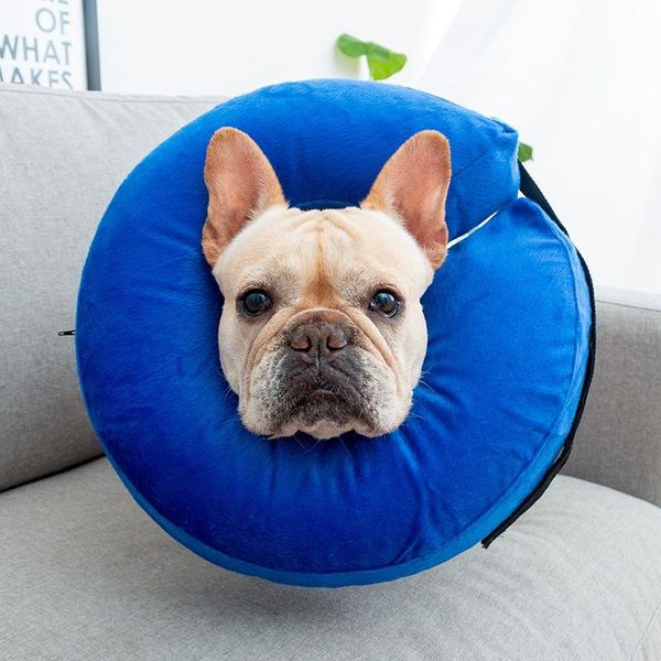 soft pet posrative recovery collar not block vision e-collar - protective inflatable for dogs and cats dog collars & leashes
soft pet posrative recovery collar not block vision e-collar - protective inflatable for dogs and cats dog collars & leashes