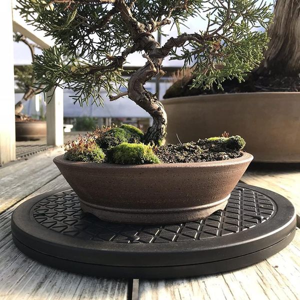 planters & pots round plastic bonsai rotating tray saucer plant mini flower pot stand succulent simple elegant home balcony decoration
planters & pots round plastic bonsai rotating tray saucer plant mini flower pot stand succulent simple elegant home balcony decoration