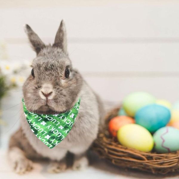 dog apparel irish festival st. patrick's day bandana pet triangle bibs accessories cat lucky green bib
dog apparel irish festival st. patrick's day bandana pet triangle bibs accessories cat lucky green bib