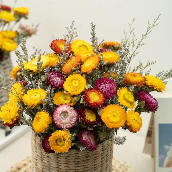 decorative flowers & wreaths home accessories dried natural qicai chrysanthemum japanese balcony plants decorations daisy for living room
decorative flowers & wreaths home accessories dried natural qicai chrysanthemum japanese balcony plants decorations daisy for living room