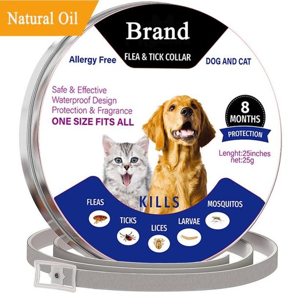 pets adjustable anti-parasites collars mite protection collar fleas ticks forceps mosquito control reject summer dog & leashes
pets adjustable anti-parasites collars mite protection collar fleas ticks forceps mosquito control reject summer dog & leashes