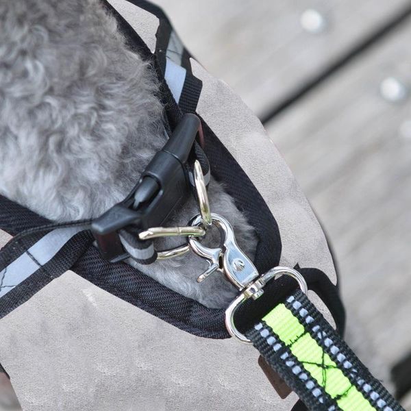 dog collars & leashes pet vest safety seat belt harness restraint lead leash clip supplies accessories
dog collars & leashes pet vest safety seat belt harness restraint lead leash clip supplies accessories