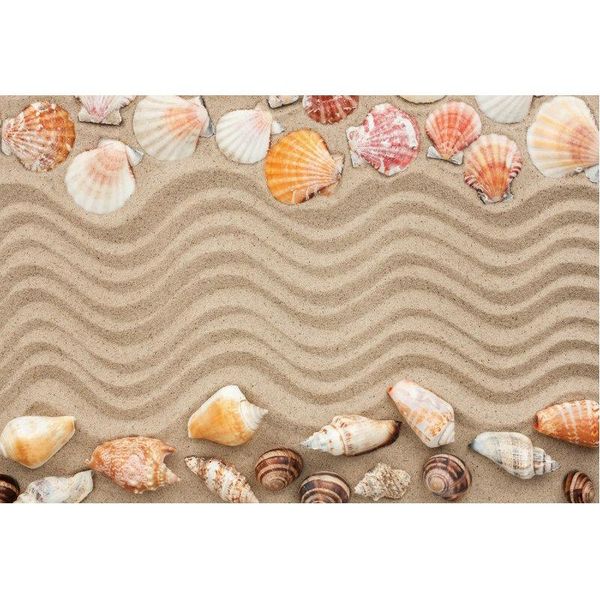 party decoration summer backdrop corrugated shells on the beach background decor born wedding pography po booth studio props
party decoration summer backdrop corrugated shells on the beach background decor born wedding pography po booth studio props