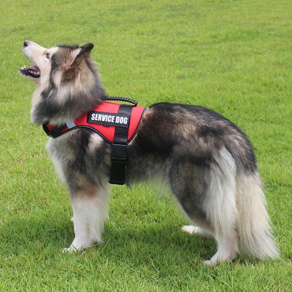reflective dog harness breathable adjustable no pull pet vest outdoor adventure with handle in stock factory collars & leashes
reflective dog harness breathable adjustable no pull pet vest outdoor adventure with handle in stock factory collars & leashes