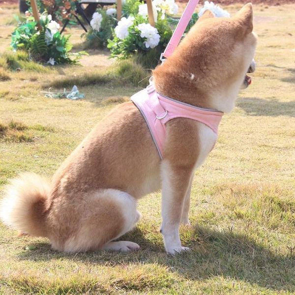 dog collars & leashes pet harness vest lightweight velvet for small medium reflective durable walking chest strap no pull easy control
dog collars & leashes pet harness vest lightweight velvet for small medium reflective durable walking chest strap no pull easy control