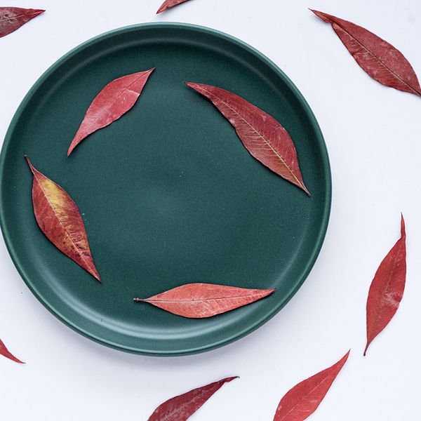nantian bamboo true leaf sticker flower plant specimen dry embossing mobile phone case bookmark festival gift design
nantian bamboo true leaf sticker flower plant specimen dry embossing mobile phone case bookmark festival gift design