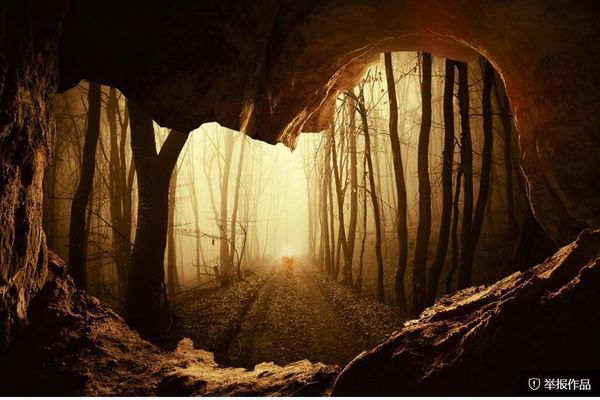 wallpapers stone wall woods forest 3d three dimensional large background modern wallpaper for living room
wallpapers stone wall woods forest 3d three dimensional large background modern wallpaper for living room