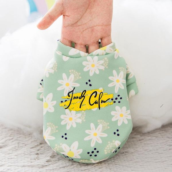 dog apparel autumn and winter sweater small daisy two legged clothes cute cartoon medium sized cat pet
dog apparel autumn and winter sweater small daisy two legged clothes cute cartoon medium sized cat pet