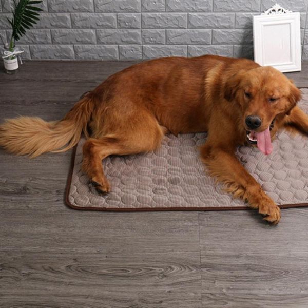 kennels & pens summer pet cushion comfortable durable foldable portable cooling dog bed supplies
kennels & pens summer pet cushion comfortable durable foldable portable cooling dog bed supplies