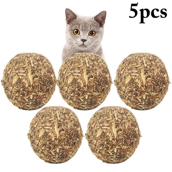 cat toys 5pcs catnip natural compressed ball treats toy for kitten 2021 arrive
cat toys 5pcs catnip natural compressed ball treats toy for kitten 2021 arrive