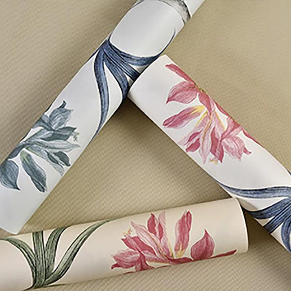 american country wallpaper retro nostalgic pastoral bedroom living room tv background wallpapers non-woven flowers and birds
american country wallpaper retro nostalgic pastoral bedroom living room tv background wallpapers non-woven flowers and birds