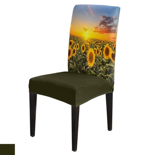 chair covers dining room cover sunflowers bloom garden table chairs for kitchen tablecloth home decor
chair covers dining room cover sunflowers bloom garden table chairs for kitchen tablecloth home decor