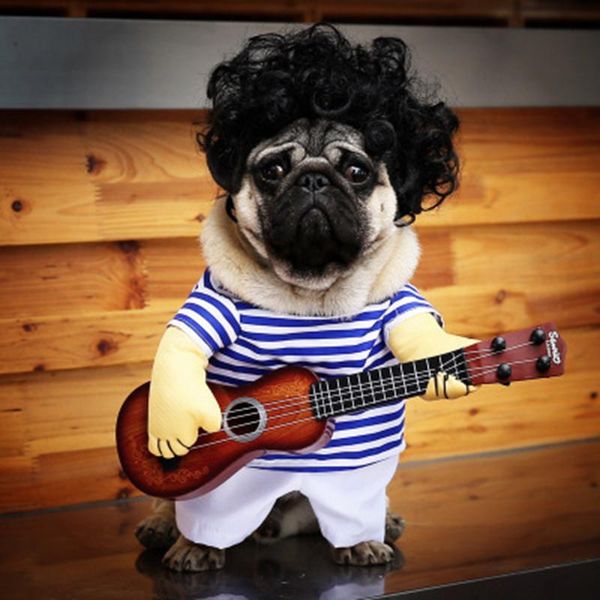 dog apparel funny pet clothes cosplay pirate cat halloween party cute comfort costume clothing for small medium guitar dressing up
dog apparel funny pet clothes cosplay pirate cat halloween party cute comfort costume clothing for small medium guitar dressing up