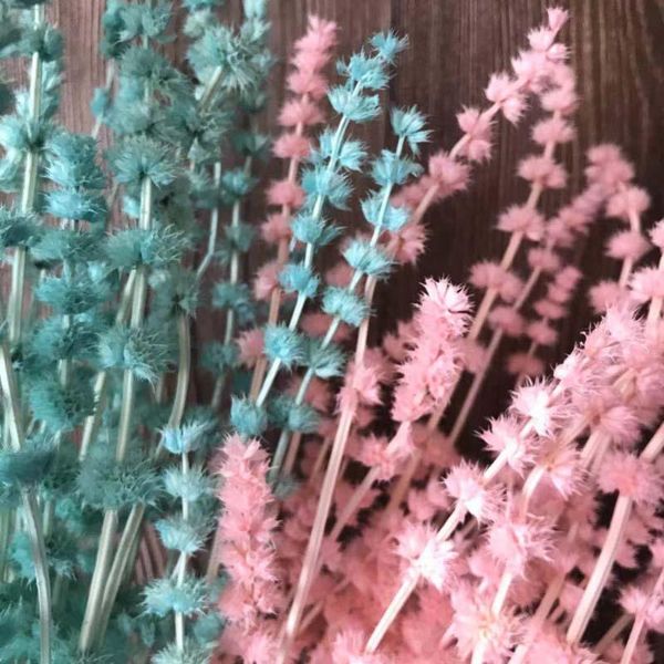 decorative flowers & wreaths 30g/35-42cm dried natural flower real plant motherwort bouquet for home decor,diy floral arrangement,wedding
decorative flowers & wreaths 30g/35-42cm dried natural flower real plant motherwort bouquet for home decor,diy floral arrangement,wedding