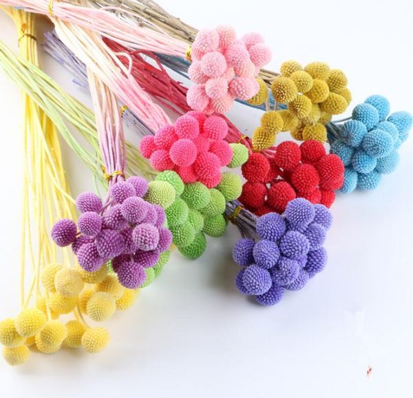 decorative flowers & wreaths dried flower bouquets with natural buttons, eternal accessories for home party, wedding decoration, pography pr
decorative flowers & wreaths dried flower bouquets with natural buttons, eternal accessories for home party, wedding decoration, pography pr