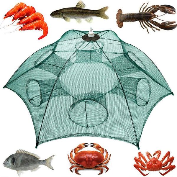6/10/16/24 holes folding fishing net thickening durable small mesh portable crab basket nylon for fish shrimp minnow accessories
6/10/16/24 holes folding fishing net thickening durable small mesh portable crab basket nylon for fish shrimp minnow accessories