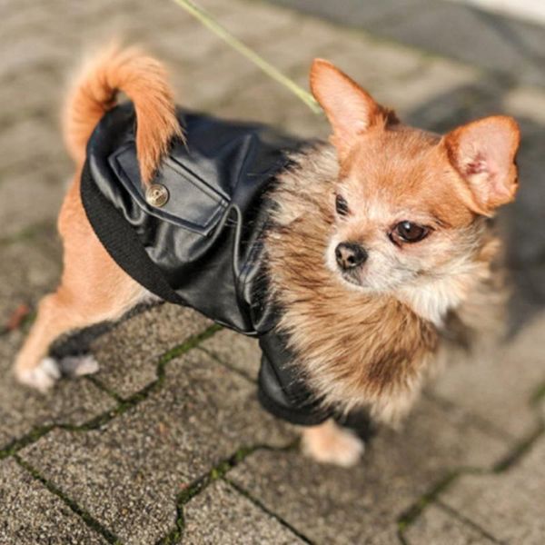 dog apparel clothes winter warm pet jacket coat puppy christmas clothing hoodies for small medium dogs outfit s-2xl
dog apparel clothes winter warm pet jacket coat puppy christmas clothing hoodies for small medium dogs outfit s-2xl