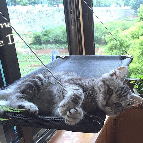 kennels & pens cute pet hanging beds bearing 30kg cat sunny window seat mount hammock comfortable bed shelf
kennels & pens cute pet hanging beds bearing 30kg cat sunny window seat mount hammock comfortable bed shelf