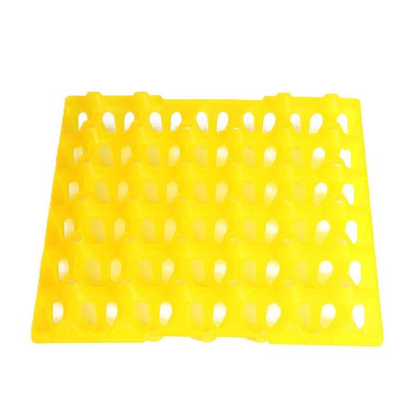 1pc egg tray storage hold 30 eggs incubator turkey duck peafowl breeders stackable hooks & rails
1pc egg tray storage hold 30 eggs incubator turkey duck peafowl breeders stackable hooks & rails