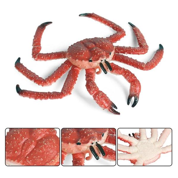 small animal supplies simulation king crab model hermit marine pvc deskdecor education kids intellectual toy
small animal supplies simulation king crab model hermit marine pvc deskdecor education kids intellectual toy