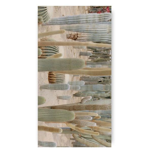 towel 1pc desert landscape pattern quick-drying large beach printing microfiber bath terry tapestry drop
towel 1pc desert landscape pattern quick-drying large beach printing microfiber bath terry tapestry drop
