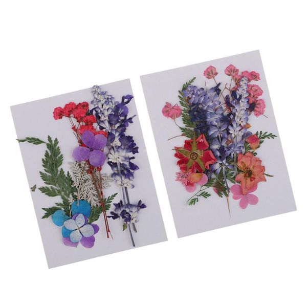 bag assorted kinds of dried flowers petals pressed levaes for diy scrapbooking leaves art craft decorations decorative & wreaths
bag assorted kinds of dried flowers petals pressed levaes for diy scrapbooking leaves art craft decorations decorative & wreaths