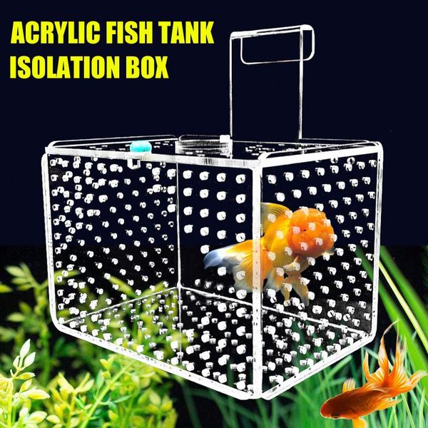 aquariums arcylic aquarium fish tank isolation box breeding separation incubating young a1
aquariums arcylic aquarium fish tank isolation box breeding separation incubating young a1