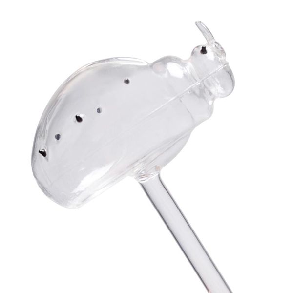 watering equipments plant waterer self bulb hand blown clear glass globe for indoor potted plants
watering equipments plant waterer self bulb hand blown clear glass globe for indoor potted plants