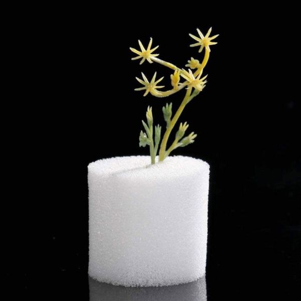 planters & pots 50pcs 3.2x3cm garden hydroponic sponge soilless cultivation vegetable seedling agricultural basket
planters & pots 50pcs 3.2x3cm garden hydroponic sponge soilless cultivation vegetable seedling agricultural basket