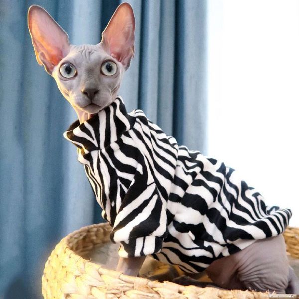 cat costumes duomasumi chic spring autumn apparel kitten jumper hairless outfits bald coat clothes sphynx
cat costumes duomasumi chic spring autumn apparel kitten jumper hairless outfits bald coat clothes sphynx